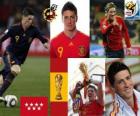 Fernando Torres (ci ha fatto sognare), attaccante Squadra Nazionale Spagnola