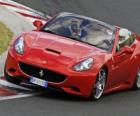 Felipe Massa alla guida di una Ferrari California - Hungaroring 2010 -