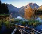 Un lago con tronchi galleggianti in primo piano e di alta montagna sono