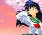 Kagome Higurashi è la reincarnazione della sacerdotessa Kikyo