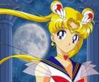 Usagi Tsukino o Bunny Tsukino è la protagonista e diventa Sailor Moon, guerriera dell'amore, della giustizia e del mistero