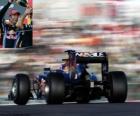 Mark Webber - Red Bull - Suzuka 2010 (2 ° Classificato)