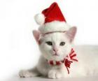 gatto bianco con cappelli di Babbo Natale