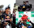 Mark Webber - Red Bull - Interlagos, Gran Premio del Brasile 2010 (2 ° Classificato)