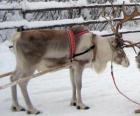 Natale, renne tirando una slitta