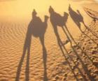 Els tres Reis Mags a lloms dels camells en el seu camí cap a Betlem