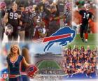 Buffalo Bills