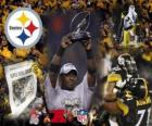 Pittsburgh Steelers AFC campione 2.010-11