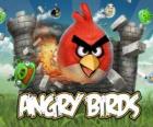 Angry Birds è un videogioco de Rovio. Gli uccelli arrabbiati che attaccare i maiali che rubano le uova