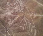Veduta aerea delle figure, un uccello, una parte delle linee di Nazca nel deserto di Nazca, in Perù