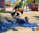 film Rio con tre dei suoi protagonisti: le ara Blu, Jewel e Tucan Rafael in spiaggia