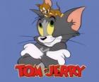 Tom e Jerry sono i principali protagonisti di divertenti avventure