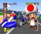 Toad con un kart. Toad è un cittadino del Regno dei Funghi e fedele servitore della Principessa Peach