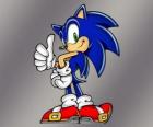 Sonic il riccio, il protagonista principale dei giochi di Sonic di Sega