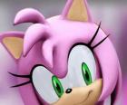 Amy Rose è un riccio rosa con gli occhi verdi, è follemente innamorato di Sonic