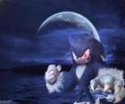 Sonic the Werehog, l'ultima trasformazione di Sonic, di notte si trasforma in un lupo riccio