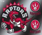 Logo di Toronto Raptors, squadra NBA. Atlantic Division, Eastern Conference