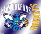 Logo New Orleans Hornets, squadra NBA. Southwest Division, Western Conference