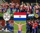 Paraguay finalista, Copa América Argentina 2011