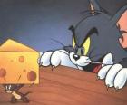 Tom il gatto sorprendente il topo Jerry prendere un pezzo di formaggio