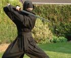 Guerriero ninja e la lotta con la katana