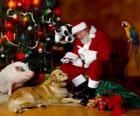 Diversi animali con Babbo Natale