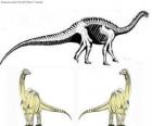 Lo zizhongosauro è un dinosauro erbivoro appartenente ai sauropodi