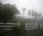 Tempesta tropicale