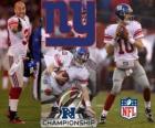 New York Giants campione NFC 2011