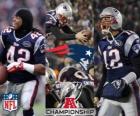 New England Patriots campione AFC 2011