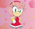 Amy Rose, la femmina di riccio che pretende di essere la fidanzata di Sonic