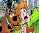 Scooby-Doo e il suo amico Shaggy scappare spaventato