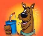 Scooby Doo sorseggiando un bere