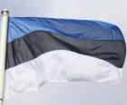 Bandiera dell'Estonia