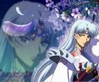 Sesshomaru, il fratello di Inuyasha. Un demone totale senza scrupoli che odia suo fratello, esseri umani e il debole