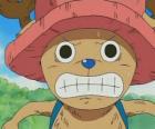 Tony Tony Chopper è un esperto medico che si trasforma in una creatura antropomorfa