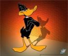 Daffy Duck in Looney Tunes