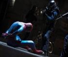 Spider-Man, catturato dalla polizia