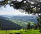 Valle della foresta nera, Germania