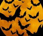 Pipistrelli per la celebrazione di Halloween