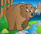 Orso bruno