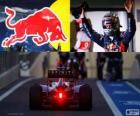 Sebastian Vettel - Red Bull - Gran Premio di Abu Dhabi 2012, 3 ° classificato