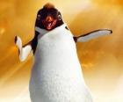Ramon, il pinguino leader del club Los Amigos
