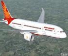 Air India è la principale compagnia aerea dell'India
