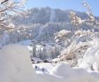 Bellissimo paesaggio completamente nevicato