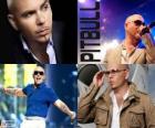 Pitbull (Armando Christian Perez), è un produttore musicale di origini cubane