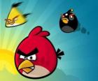 Tre degli uccelli da Angry Birds