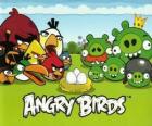 Uccelli, uova e maiali verdi in Angry Birds