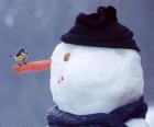 Pupazzo di neve con un uccello sul suo naso