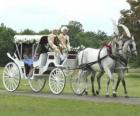 Elegante carrozza